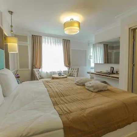 The Constantine 3* Provincia di Istanbul